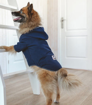 Ovi Hoodie