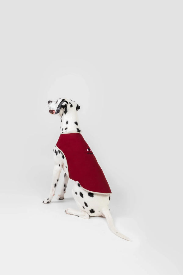 Vito Suit Burgundy