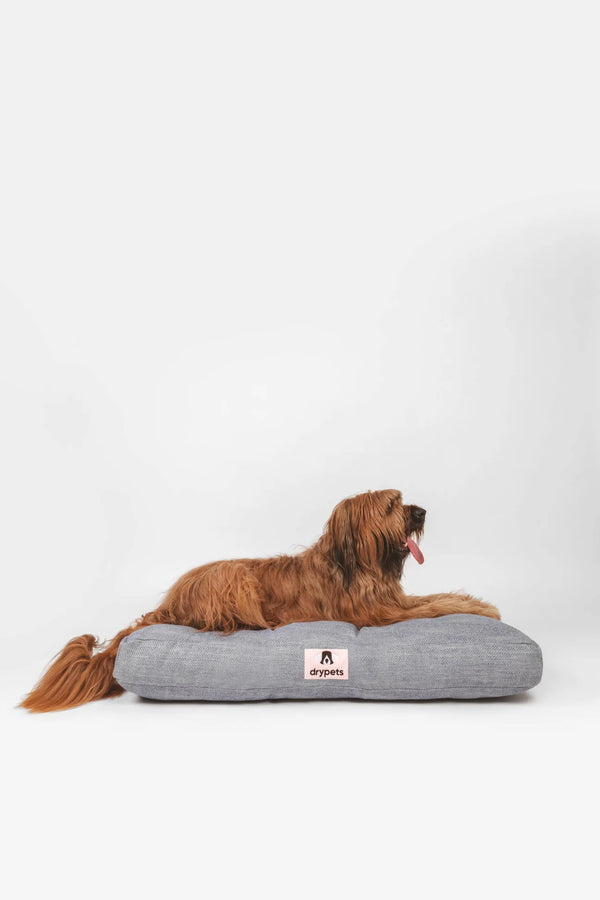Leo Sleep Bed Blue