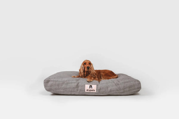 Leo Sleep Bed Light Grey
