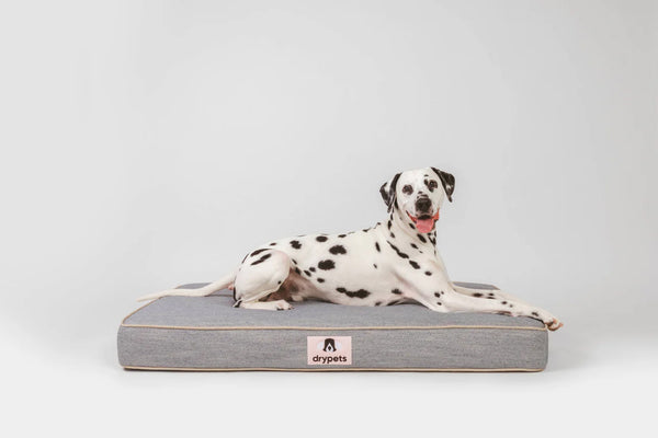 Logro Sleep Bed Blue