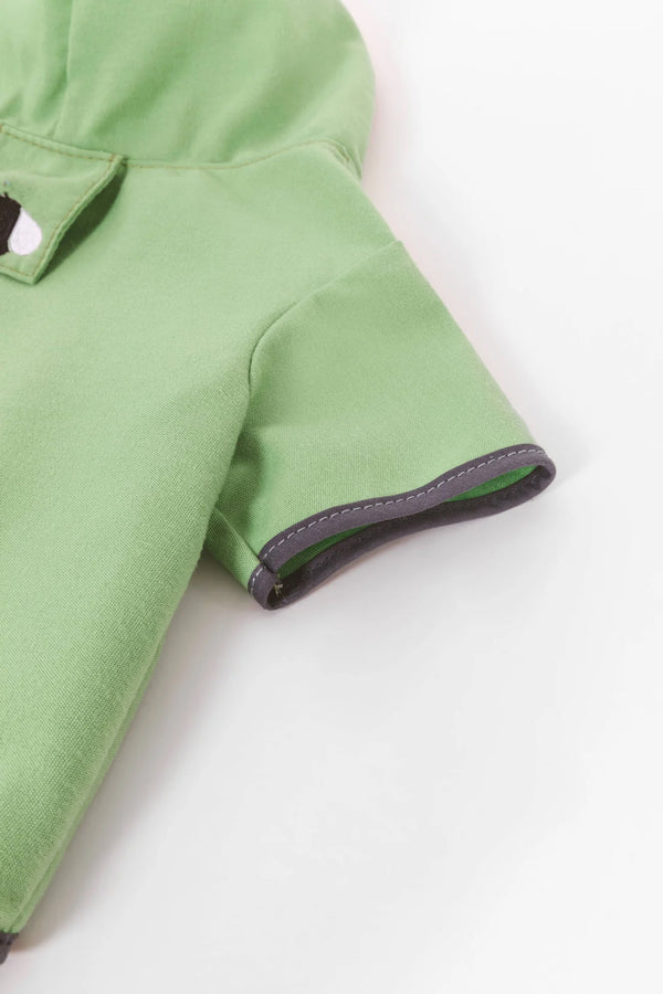 Ovi Hoodie Pistachio