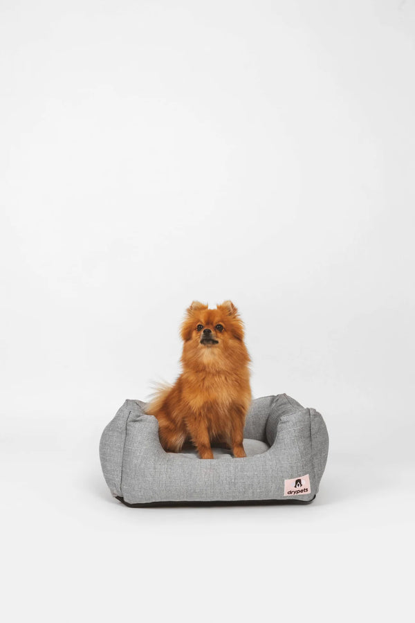 Ponfe Dreams Bed Grey