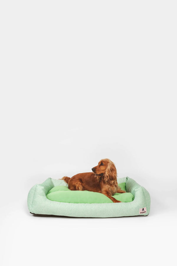 Ponfe Dreams Bed Green
